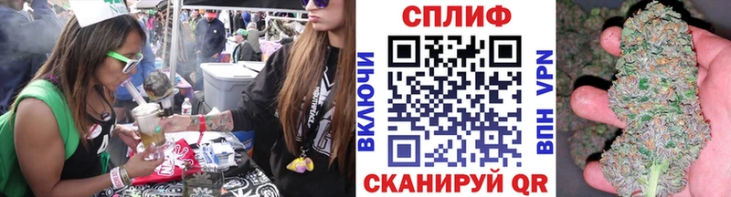 что такое   Шлиссельбург  Конопля планчик 